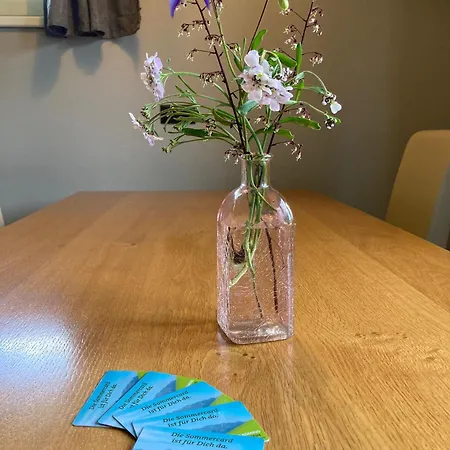 Apartment Hochfilzer *