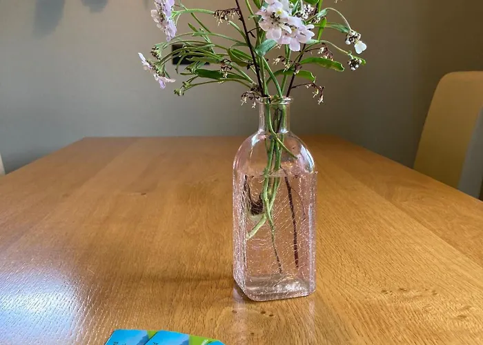 Apartment Hochfilzer *